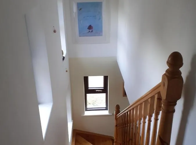 Meadow View * Wexford